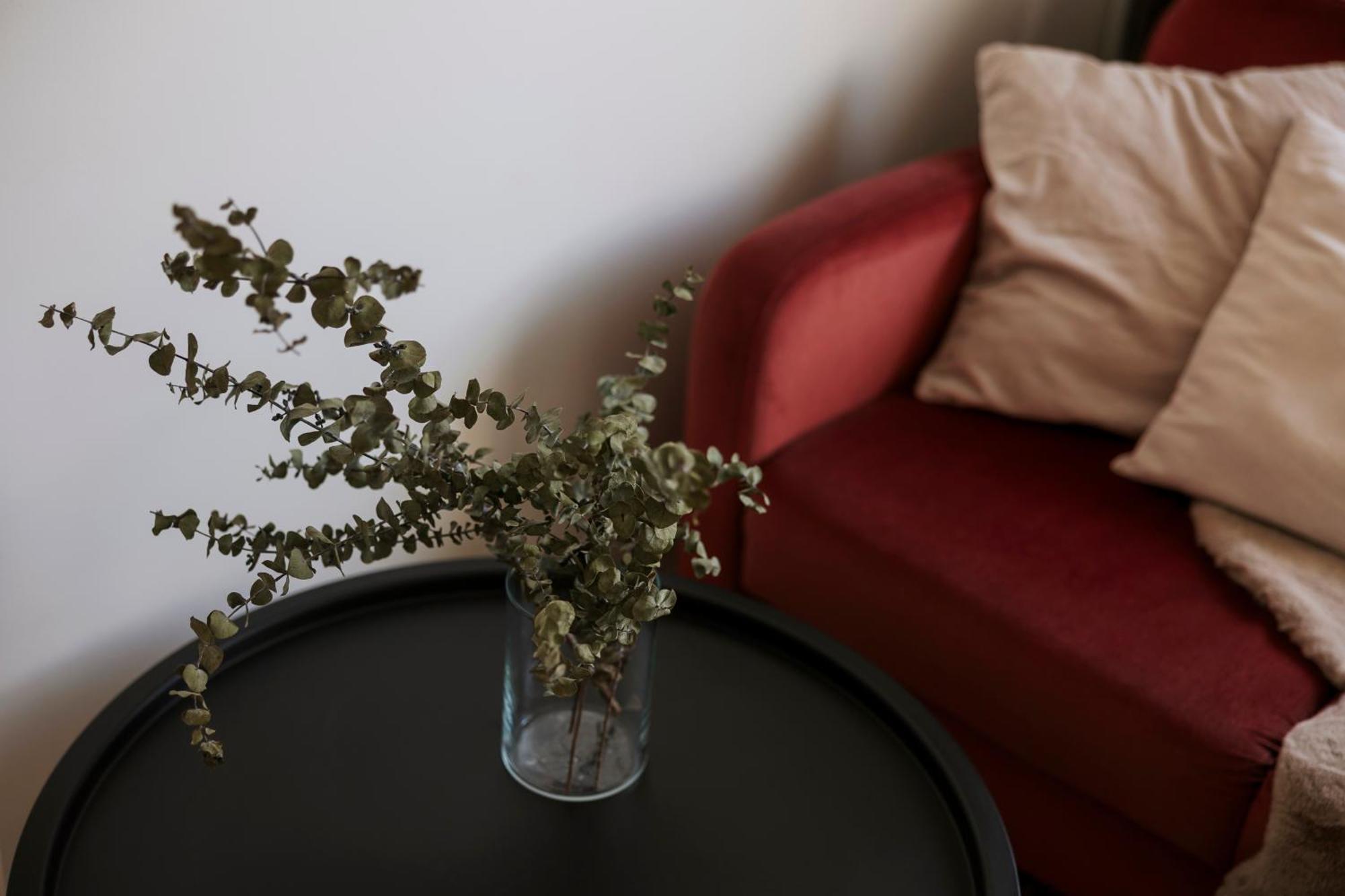 Apartment For Friends & Families Tallinn